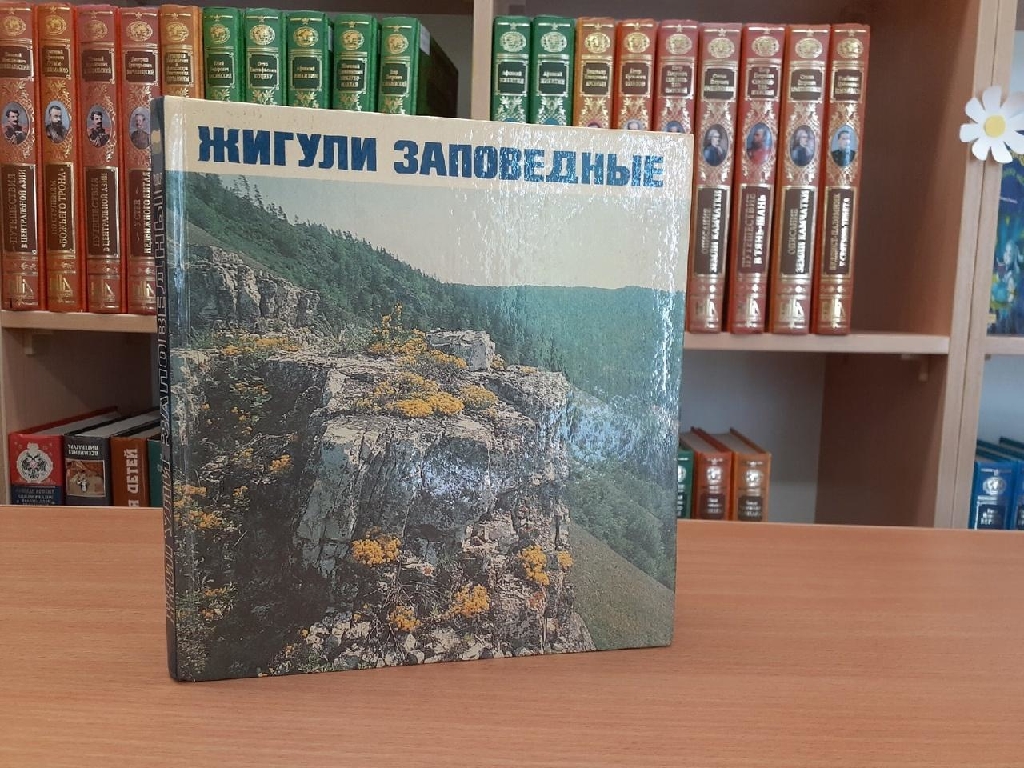 С книжной полки на экран познавательный час