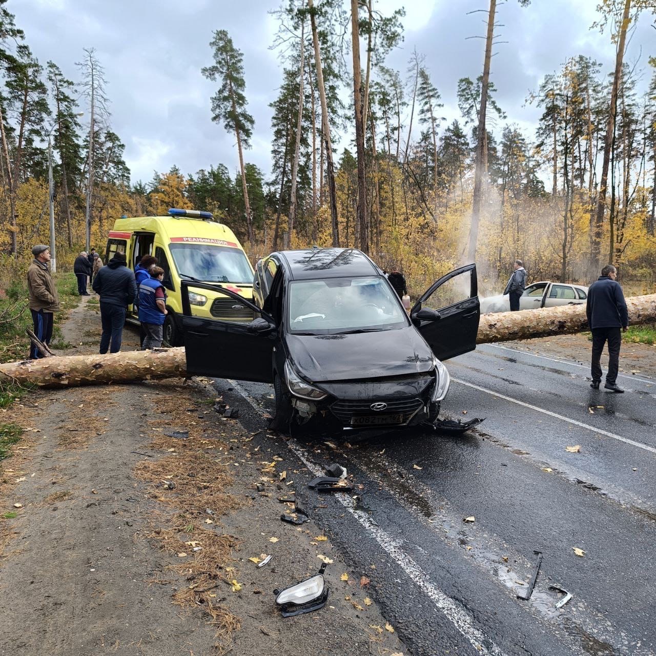 В Тольятти иномарка взлетела на дерево | 17.10.2023 | Тольятти - БезФормата