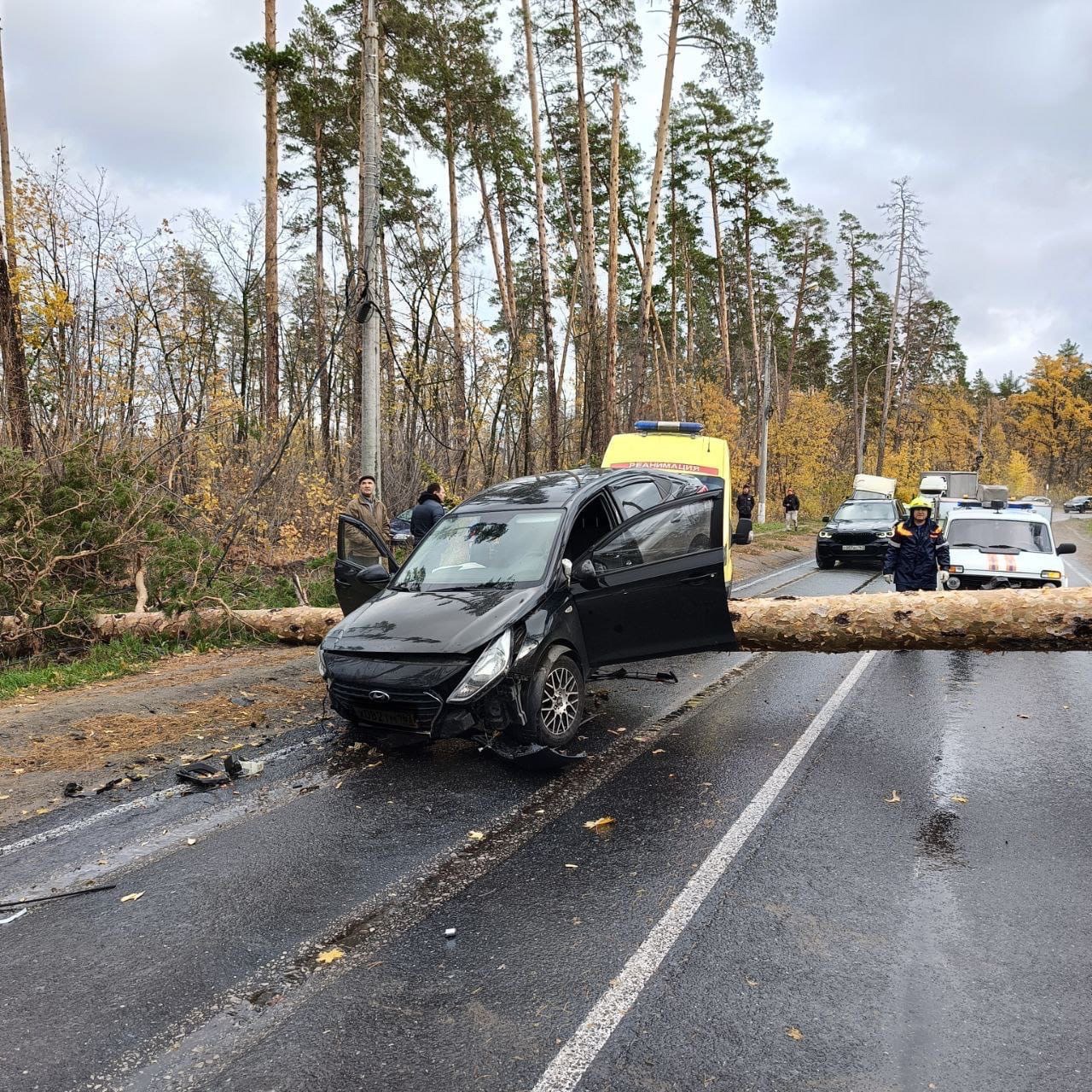 В Тольятти иномарка взлетела на дерево | 17.10.2023 | Тольятти - БезФормата