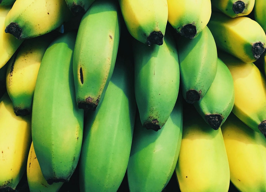 Можно есть зеленые бананы. Зеленые бананы. Банан почернел. Зеленые и желтые бананы. Африканские кормовые бананы.